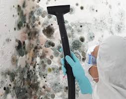 Best Comprehensive Air Testing for Mold Contaminants  in Canton, TX